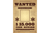 Wanted Birthday Sign, Wanted Birthday Poster, Cowboy Party
