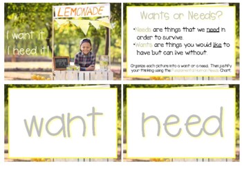 Preview of Wants v. Needs