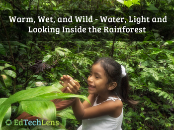 Preview of The Rainforest Habitat & Living Things Need Water & Light for Survival Unit EPUB