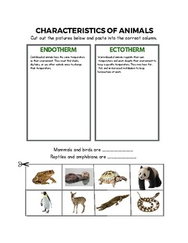 Cold Blooded Warm Blooded Teaching Resources | TPT