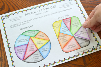Animal vs Plant Cell Puzzle Activity by Science by Stafford Sisters