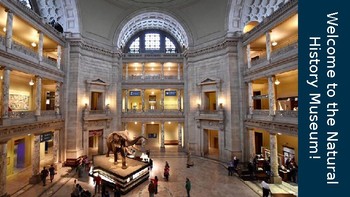 Preview of Washington DC Natural History Museum Exploration / Scavenger Hunt (Google Slide)