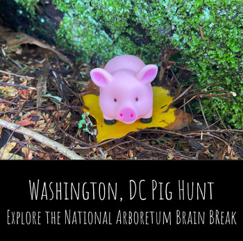 Preview of Washington, DC Pig Hunt: Explore the National Arboretum Brain Break!