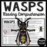 Wasps Informational Text Reading Comprehension Worksheet Insects