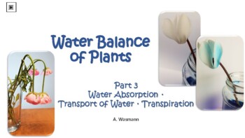 Preview of Water Balance