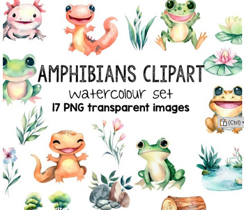 Preview of Water Colour Amphibian Animals Clipart - 17 High Quality Transparent PNG Images