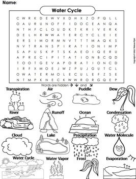 water cycle activity word search worksheet by science spot tpt