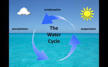 Preview of Water Cycle