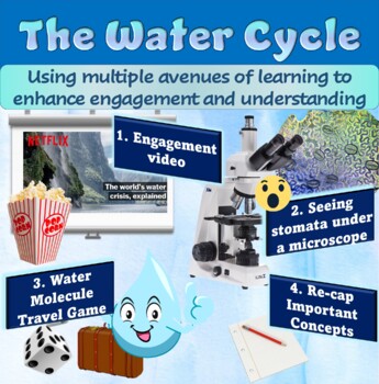 Preview of The Water Cycle Multiple Activity Lab and Worksheet - ONE PAGE!