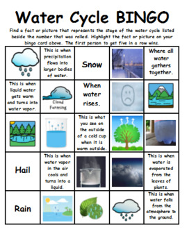 Preview of Water Cycle Bingo
