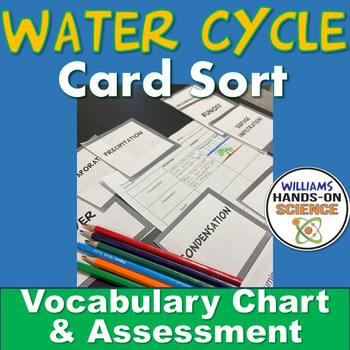 Preview of Water Cycle Card Sort and Vocabulary Graphic Organizer Assessment NGSS MS ESS2 4