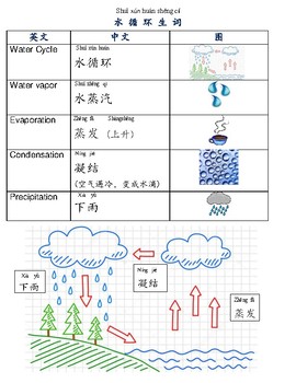 Preview of Water Cycle Chinese vocabulary 水循环