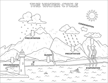 Preview of Water Cycle Coloring Page: Engaging Educational Resource for Science Lessons
