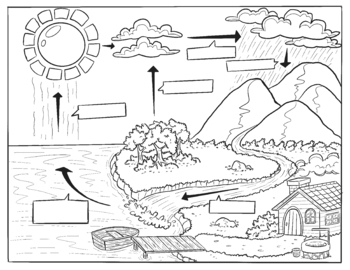 Preview of Water Cycle Coloring Page-blank
