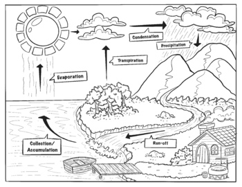 Preview of Water Cycle Coloring Page with notes