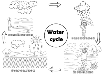 Preview of Water Cycle Coloring Sheet for Primary Classes
