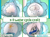Water Cycle Craft: {3-D Water Cycle Craftivity}