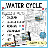 Water Cycle Diagram, Background Reading, and Questions Worksheets
