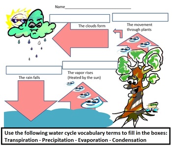 Preview of Water Cycle Diagram Word Bank Drawing