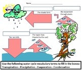 Water Cycle Diagram Word Bank Drawing