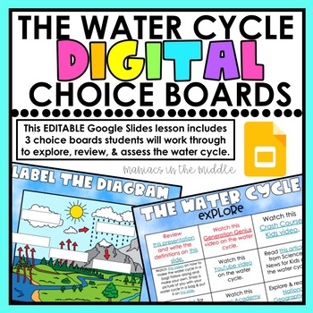 Preview of Water Cycle Digital Choice Boards
