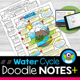 Water Cycle Doodle Notes + Digital Quiz + Worksheets and more!!