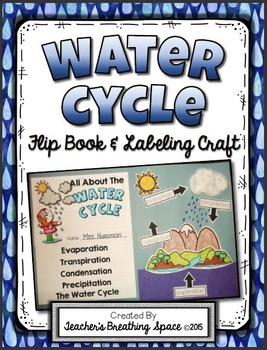 Preview of Water Cycle Flip Book, Craftivity and Labeling Project
