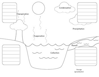 Preview of Water Cycle Flip-able Diagram for Interactive Notebook