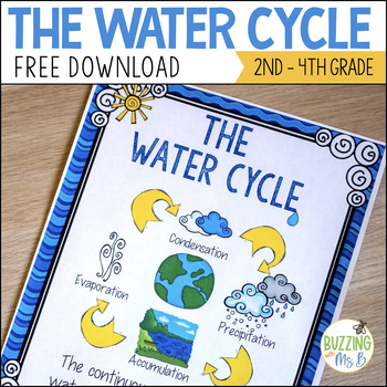 Preview of Water Cycle Freebie!