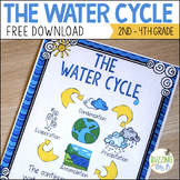 Water Cycle Freebie!