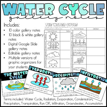 Water Cycle Gallery Notes - Includes Editable and Digital Versions