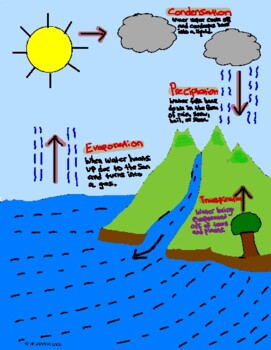 Preview of Water Cycle Handwritten Doodle Notes + Questions