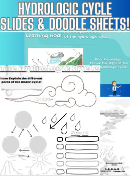 Preview of Water Cycle (Hydrologic Cycle) Doodle Sheets & Slides
