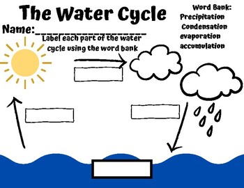 Water Cycle Label Activity by Jess Duffey | TPT