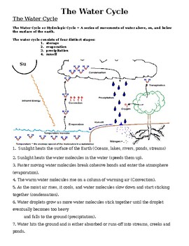 Preview of Water Cycle Lesson, Handout, Worksheet, Quiz and Key