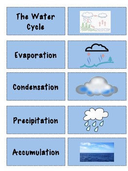 Water Cycle Memory Game by The Active Learner | TpT