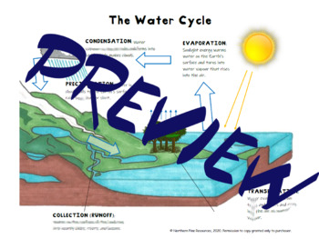 Preview of Water Cycle Notes