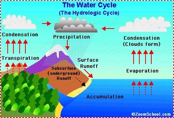 Preview of Water Cycle Podcast