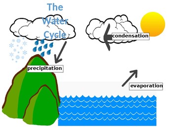 Water Cycle Poster by KindKinders | TPT