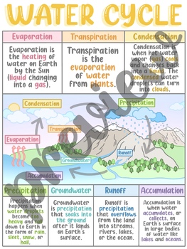 Preview of Water Cycle Poster/Anchor Chart (5.8B/4.8B)