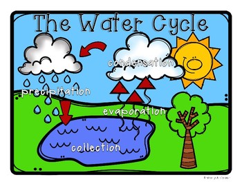 Water Cycle: Poster / Classroom Display and Practice Worksheets | TpT