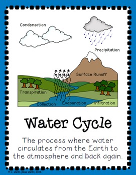 Water Cycle Poster Pack by Miss Martin | TPT