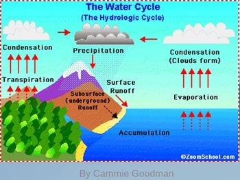 Water Cycle UNIT PowerPoint and Interactive Notes 4th Grade Science