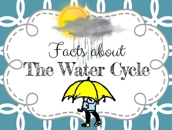 Preview of Water Cycle Powerpoint