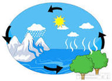 Water Cycle Powerpoint