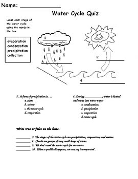 Water Cycle Quiz Freebie by The Polka Dotted Classroom | TpT