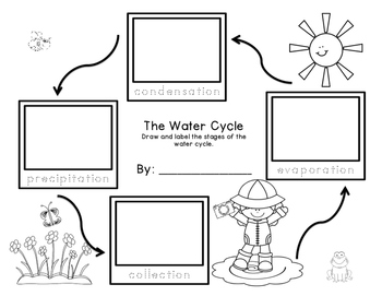 Preview of Water Cycle Sequencing Freebie grades K-2
