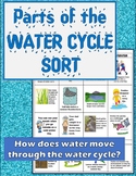 Water Cycle Sort: Review, Practice, Assess,  Cut and Paste