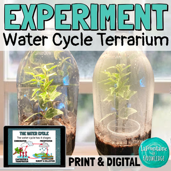 Preview of Water Cycle Terrarium Science Lab Experiment Lab PRINT and DIGITAL