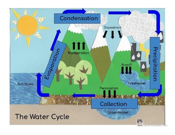 Preview of Water Cycle Unit